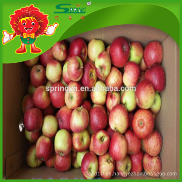 Manzana roja tipo Fuji vender directamente de agricultor